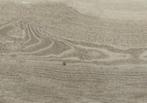 Nevada houtlook tegel-20x120-Miele (Keramisch parket), Nieuw, Ophalen of Verzenden