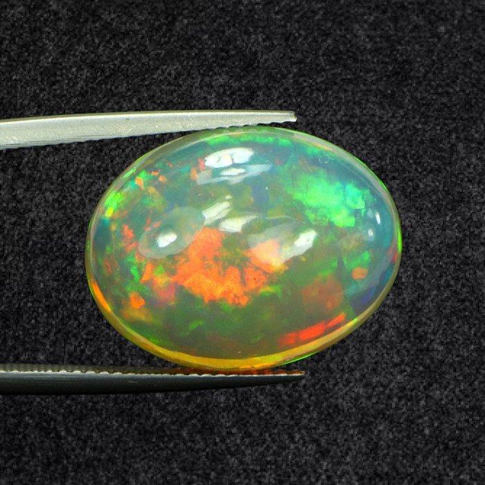 1 pcs Wit Opaal - 11.92 ct - nternational Colored Gemstone, Sieraden, Tassen en Uiterlijk, Edelstenen