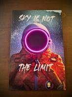 LEDMansion (1995) - Spaceman | Led Wall Art | ESCLUSIVA, Antiek en Kunst