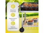 BBQ Collection - Houtskool Barbecue Trolley - RVS 2 Roosters, Verzenden, Zo goed als nieuw