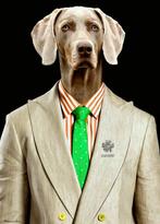 Bonaschi (1959) - Poltrona n°240322