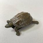 Koper - Signed “Hata” - Realistische koperen schildpad