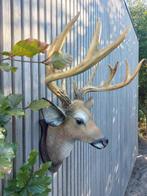 Beeld, muurmodel hoofd hert - 46 cm - polyresin, Antiek en Kunst