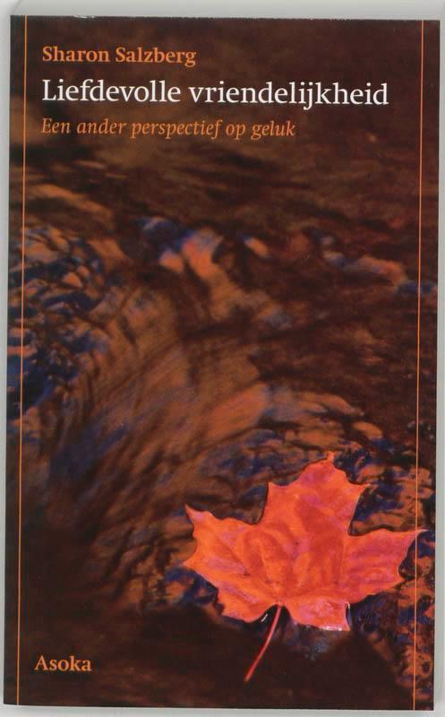 Liefdevolle vriendelijkheid 9789056700096 Sharon Salzberg, Boeken, Filosofie, Zo goed als nieuw, Verzenden