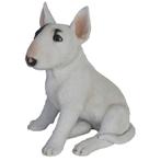 Tuinbeeld Bull Terrier hond 34 cm - Beeldjes, Verzamelen, Nieuw, Ophalen of Verzenden