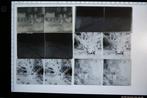 lumiere - LOTE 60 PLACAS CRISTAL negativo estereoscopico de