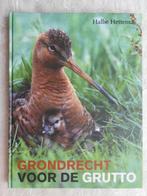 Grondrecht voor de grutto 9789033011818 H. HETTEMA, Boeken, Verzenden, Zo goed als nieuw, H. HETTEMA