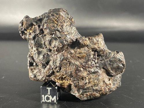 Straordinaria Erg Chech (EC 013) Achondriete meteoriet, Verzamelen, Mineralen en Fossielen