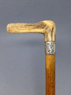 Wandelstok - Wit metaal, Antiek en Kunst