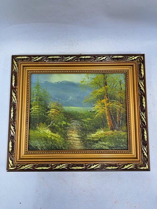 Lijst - Hout, Verguld - Schilderijlijst, Antiek en Kunst, Curiosa en Brocante