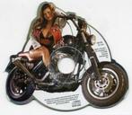 cd - Various - Born To Be Wild, Verzenden, Zo goed als nieuw