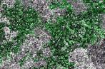 Eerste kwaliteit sprankelende Uvaroviet - De groene granaat, Verzamelen