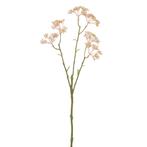 Limonium L42 Roze zijde Limonium L42, Ophalen of Verzenden, Nieuw