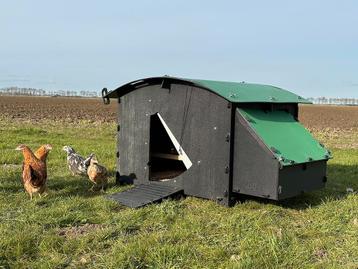 Kunststof Kippenhok - Nestera Large Grondmodel beschikbaar voor biedingen