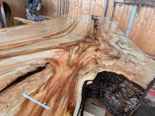 8X Boomstambladen, Beuk, complete partij 570,- REF 775, Doe-het-zelf en Verbouw, Hout en Planken, Beuken, 300 cm of meer, 50 mm of meer
