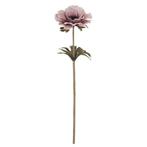 Anemoon Dry Colour Pink 35 cm / st – Zijdebloem zijdebloem, Huis en Inrichting, Ophalen of Verzenden, Nieuw