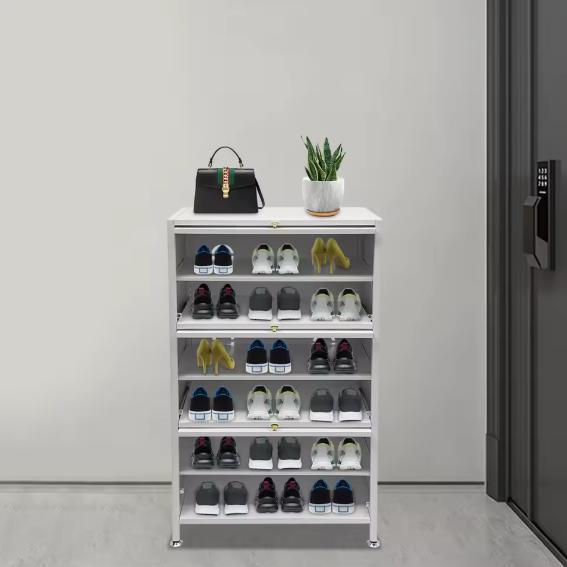 Ruimtebesparende Schoenenkast met Deuren – 6 Niveaus Opslag, Huis en Inrichting, Kasten | Schoenenkasten, Nieuw, Verzenden