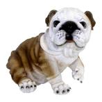 Beeldje Engelse bulldog hond 25 cm - Beeldjes