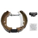 Remschoenset CITROEN JUMPY 2.0 achterzijde, Verzenden, Nieuw