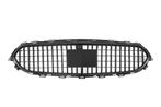 Grill Sport grille past voor Mercedes W213 Facelift in Mayba