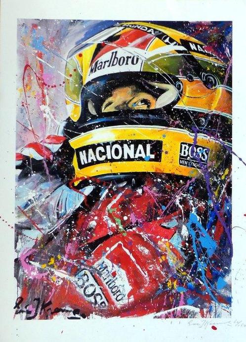 Eric-Jan Kremer - Ayrton Senna Da Silva, Verzamelen, Automerken, Motoren en Formule 1