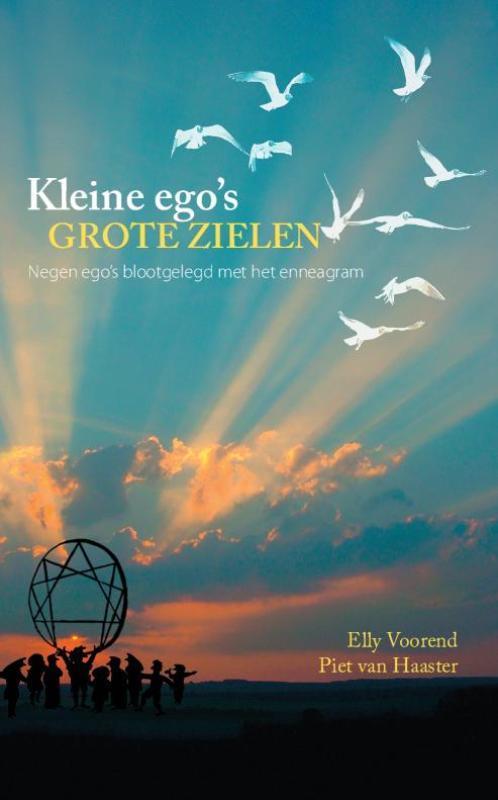 Kleine egos, grote zielen 9789081635813 Elly Voorend, Boeken, Psychologie, Gelezen, Verzenden