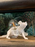 Bailey LED Kogellamp E12 230V 2W 180lm 2200K Helder Niet-..., Ophalen of Verzenden, Nieuw