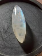 Marquise cabuchon natural moonstone 7.65 ct seller certified, Nieuw