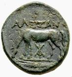 (302) Troas, Alexandria AE Circa 261-227 v.Chr. (4,80 g,
