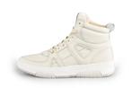 Palpare Sneakers in maat 36 Grijs | 10% extra korting, Kleding | Dames, Verzenden, Grijs, Palpare, Sneakers of Gympen