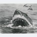 Jaws - Signed by Kevin Pike (S/F/X), Nieuw