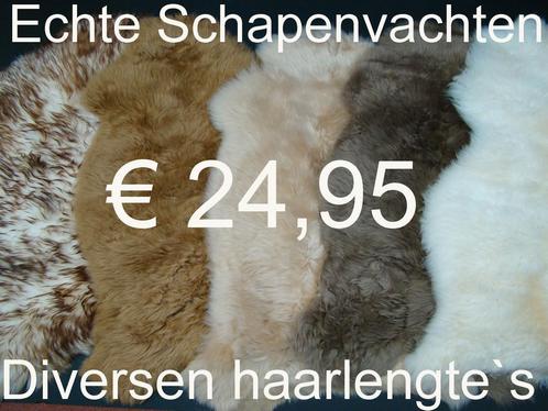 Schapenvacht OPRUIMING € 24,95 100% ECHTE schapenvel  NIEUW, Huis en Inrichting, Woonaccessoires | Overige, Nieuw, Ophalen of Verzenden