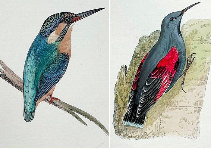 F.O. Morris / Alexander Lydon / Benjamin Fawcett - A History, Antiek en Kunst, Antiek | Boeken en Bijbels