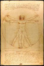 Poster Vitruvian Man 61x91,5cm, Verzenden, Nieuw, A1 t/m A3