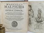 Malpighi Marcello - Malpighi Opera Omnia - 1687, Antiek en Kunst