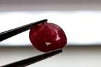 Zonder Minimumprijs Robijn - 6.45 ct - Lotus Gemology -, Nieuw