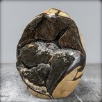 Zeer decoratieve septaria Druse, met calcietkristallen-