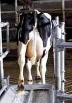 Klauwenspoeler, Zakelijke goederen, Agrarisch | Werktuigen, Ophalen of Verzenden