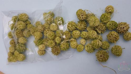 LIQUIDAMBAR GREEN WASH +/- 150 gr Heel mooi, Hobby en Vrije tijd, Knutselen, Nieuw, Ophalen of Verzenden