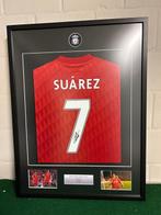Liverpool - Europese voetbal competitie - Luis Suarez -, Nieuw