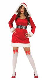 Kerstvrouw Jurkje, Kleding | Dames, Verzenden, Nieuw