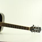 Richwood RD 12 BK Akoustische Gitaar, Ophalen of Verzenden, Nieuw