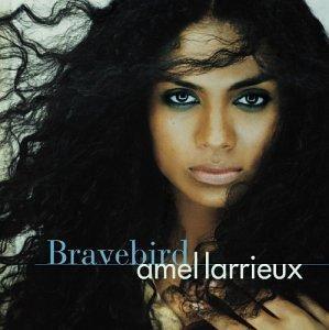 cd - Amel Larrieux - Bravebird [Us Import], Cd's en Dvd's, Cd's | Overige Cd's, Zo goed als nieuw, Verzenden