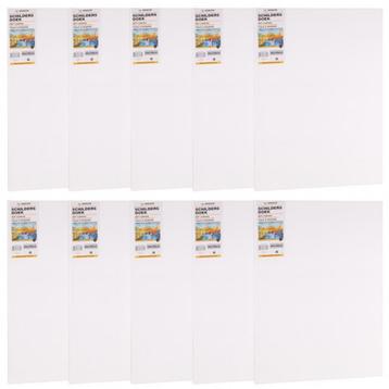 Benson Schilderdoeken - Set van 10 - Dubbel Gesso - 80x10... beschikbaar voor biedingen