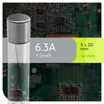 VLTG Glaszekering 5x20mm - 6.3A - F(snel) - Beschermt tegen, Hobby en Vrije tijd, Elektronica-componenten, Verzenden, Nieuw