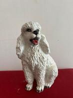 sculptuur, Barboncino - 30 cm - Keramiek