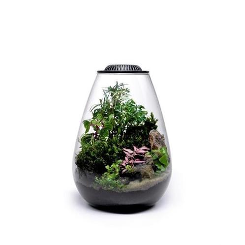 Wabi Kusa Bio Bowl 175 Black | 17,5 x 23CM, Dieren en Toebehoren, Reptielen en Amfibieën | Toebehoren, Ophalen of Verzenden