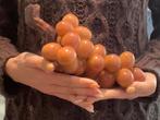 sculptuur, Massive, Grande Grappe de raisin legno - 24 cm -, Antiek en Kunst, Curiosa en Brocante