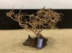 Osaka Bonsai Tree nr 23 - 35x16x37cm - aquascaping boom, Dieren en Toebehoren, Vissen | Aquaria en Toebehoren, Ophalen of Verzenden