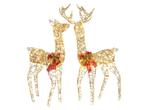 Coast 2-Delige Verlichte Rendier Kerstdecoratie - 200 LED -, Verzenden, Nieuw